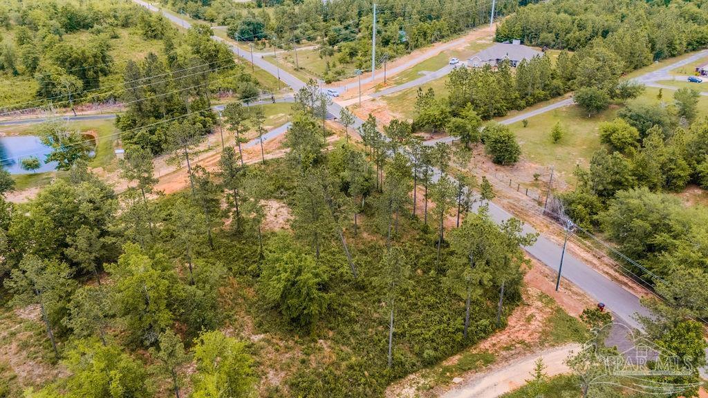 7435 Tidwell Road Pace, FL 32571 - Photo 4 of 6