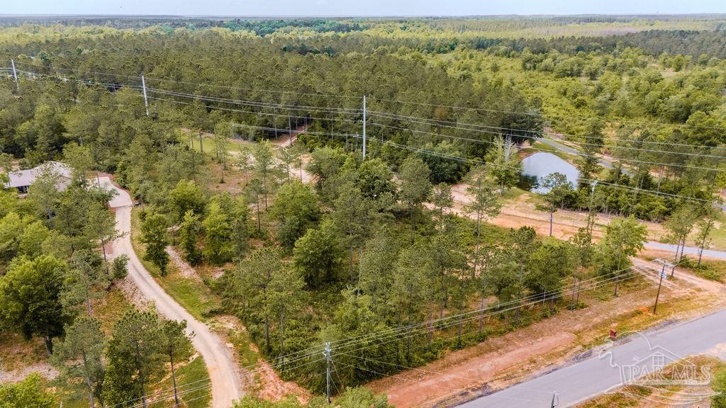 7435 Tidwell Road Pace, FL 32571 - Photo 5 of 6