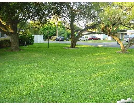 a view of tree with a house in the background