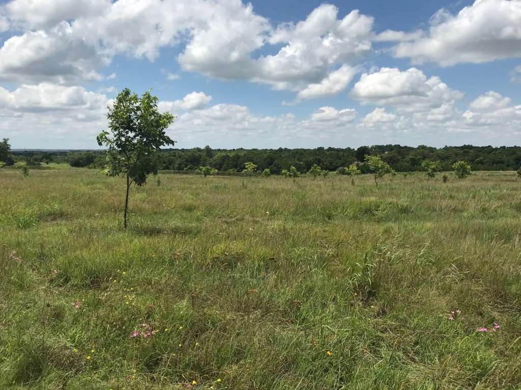 9539 Deer Ridge Perry, OK 73077 - Photo 15 of 22 Gallery Image 15