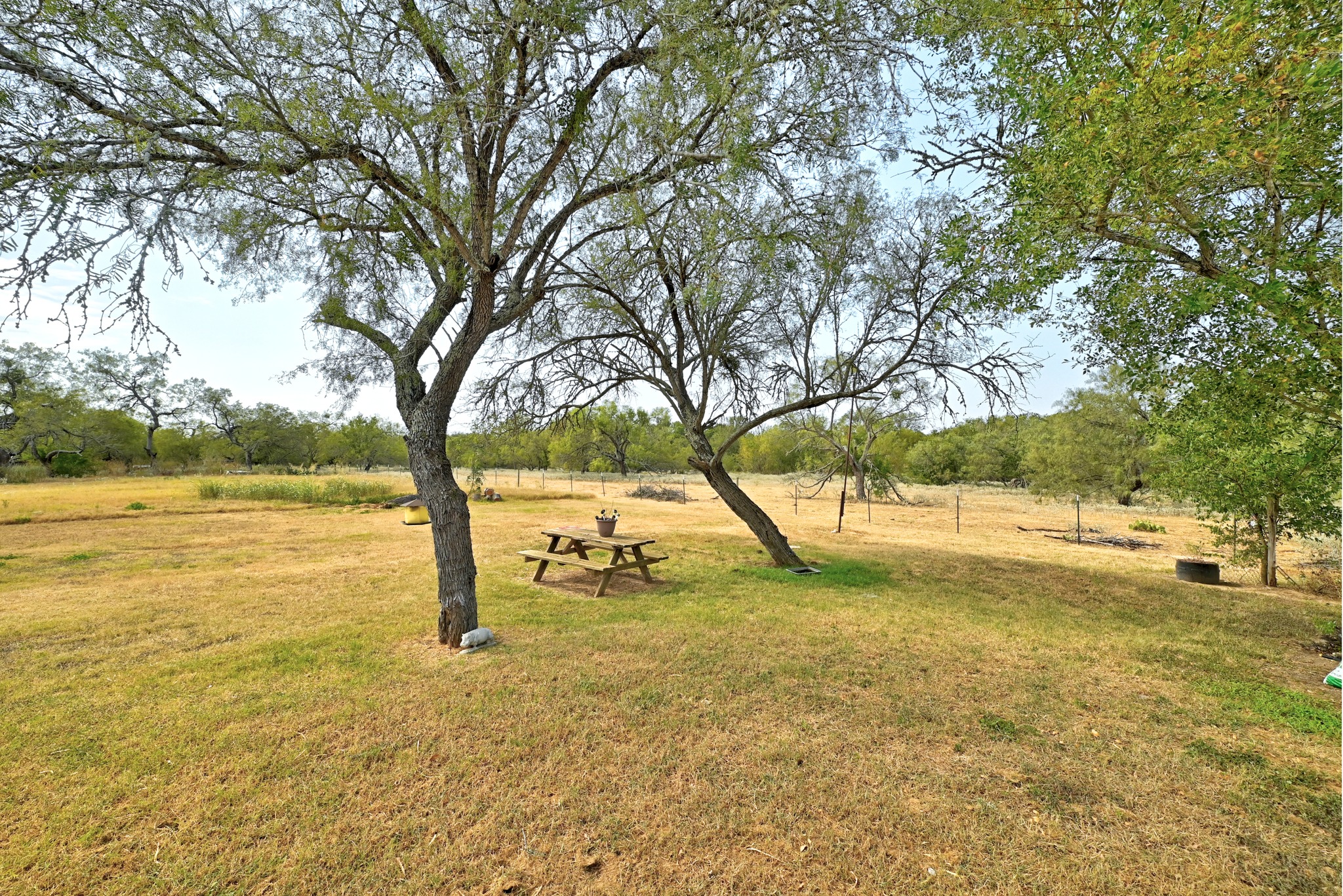 311 Salt Lake Road Luling, TX 78648 - Photo 19 of 37 Mature trees shade a wide grassy clearing perfect for outdoor recreation and relaxation.