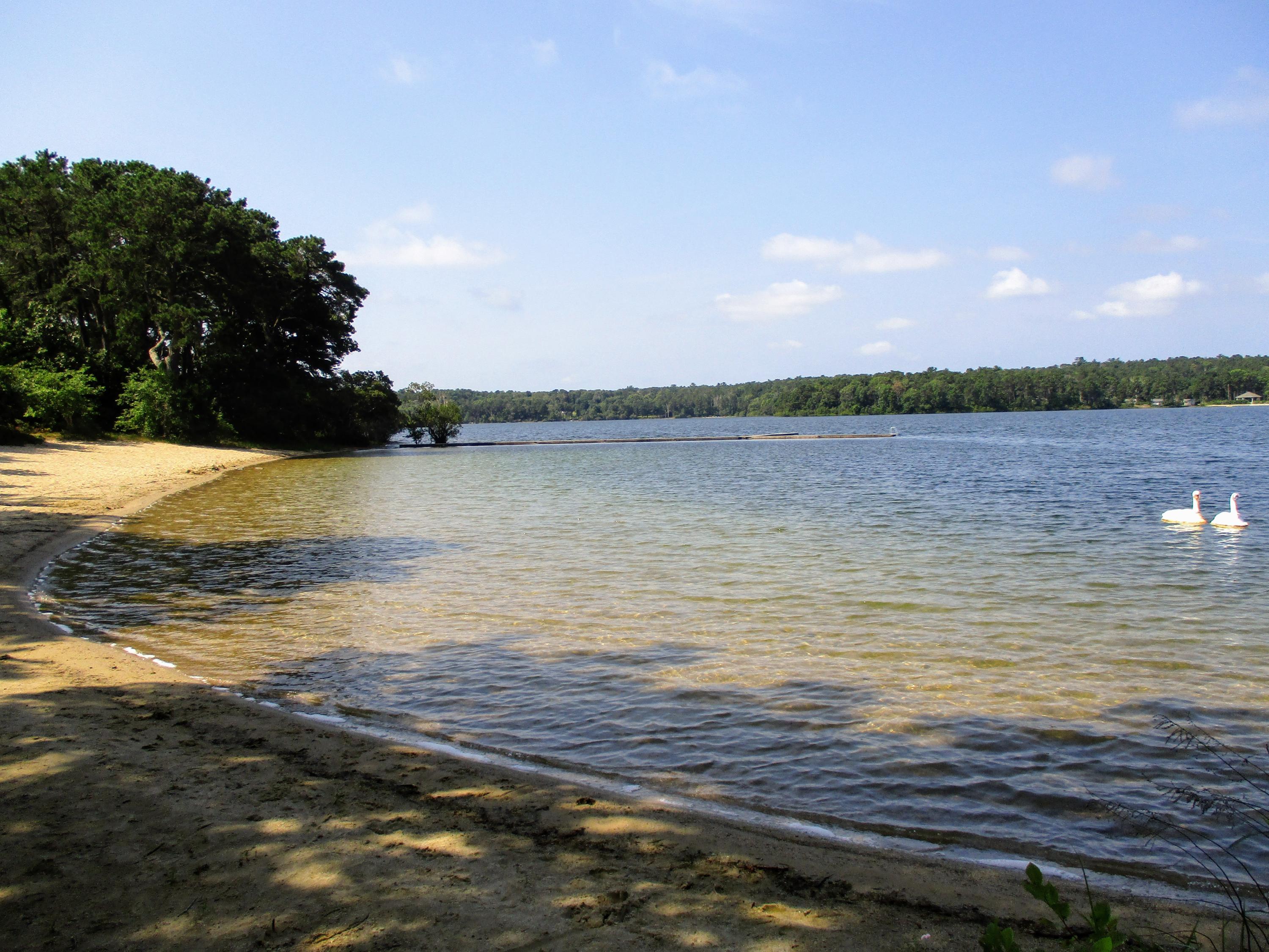 33 Highfield Drive Sandwich, MA 02563 - Photo 16 of 16