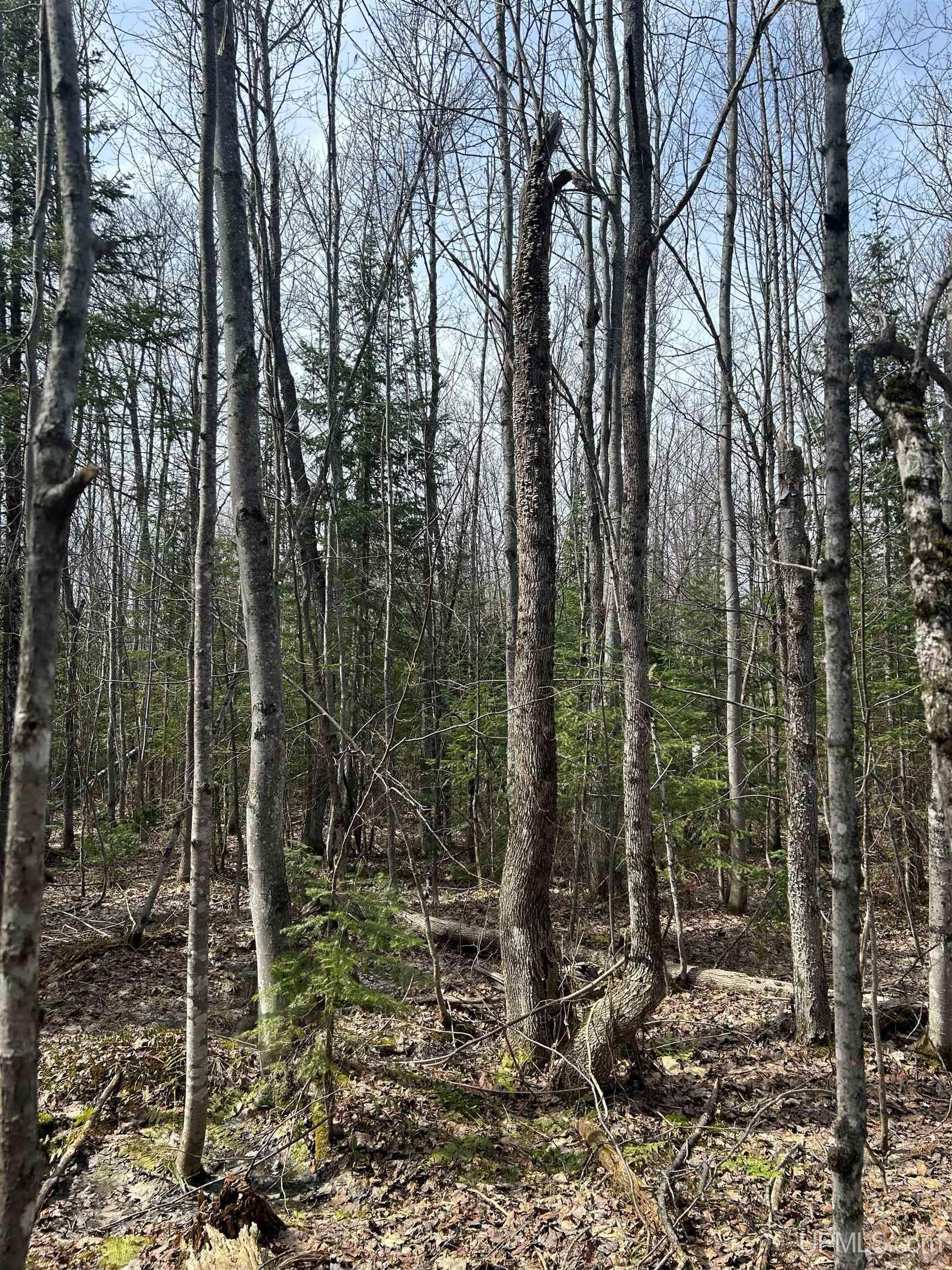 4-10 Firesteel Road Ontonagon, MI 49953 - Photo 7 of 28