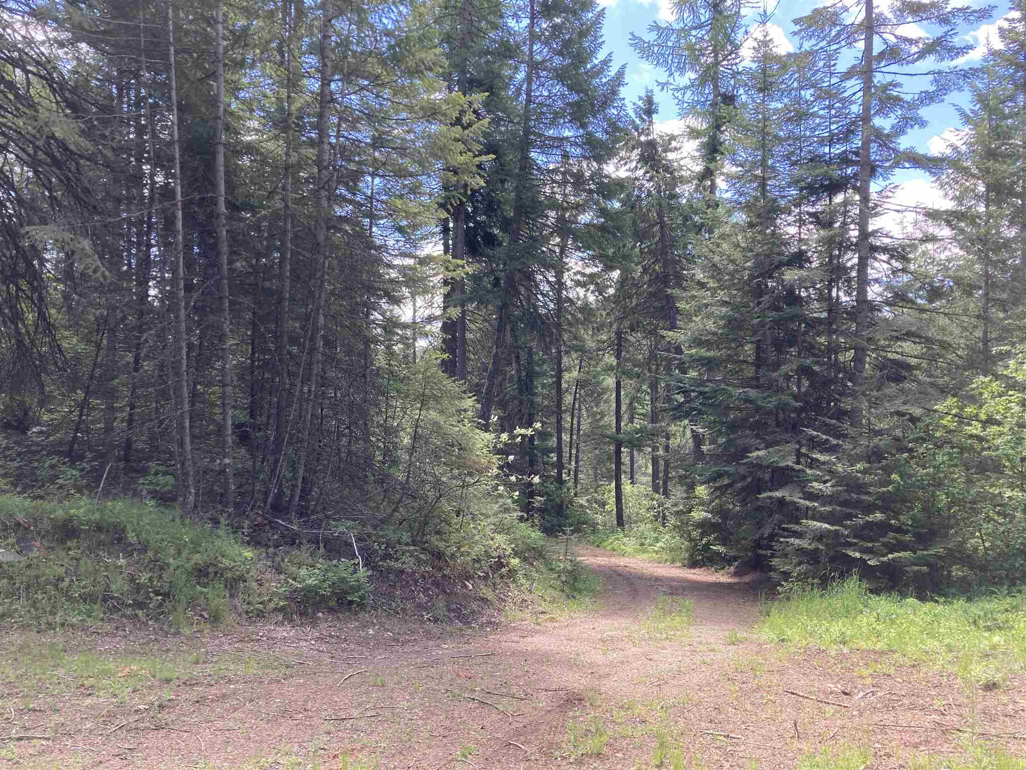 4 Bead Lake Road Newport, WA 99156 - Photo 1 of 33 Gallery Image 1