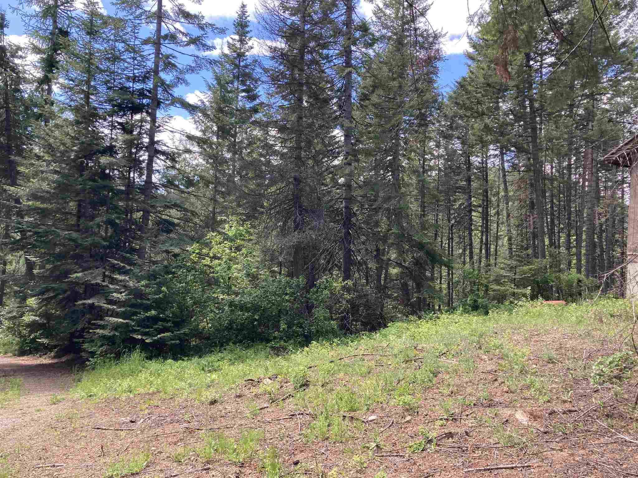 4 Bead Lake Road Newport, WA 99156 - Photo 2 of 33 Gallery Image 2