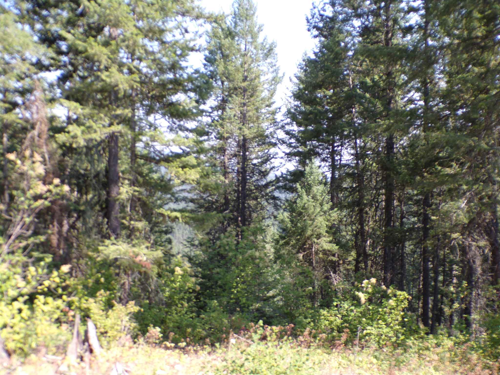 4 Bead Lake Road Newport, WA 99156 - Photo 13 of 33 Gallery Image 13