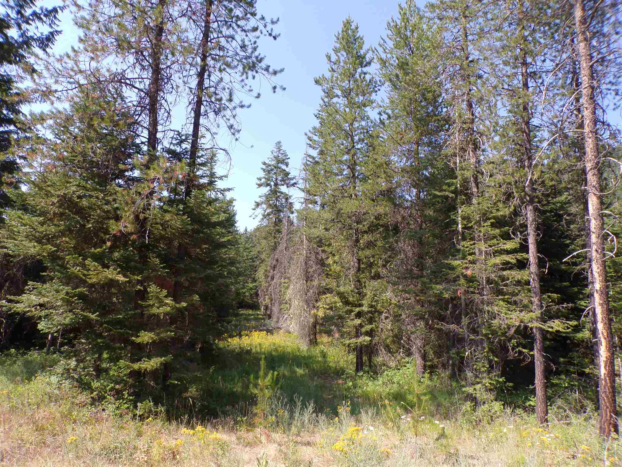 4 Bead Lake Road Newport, WA 99156 - Photo 15 of 33 Gallery Image 15