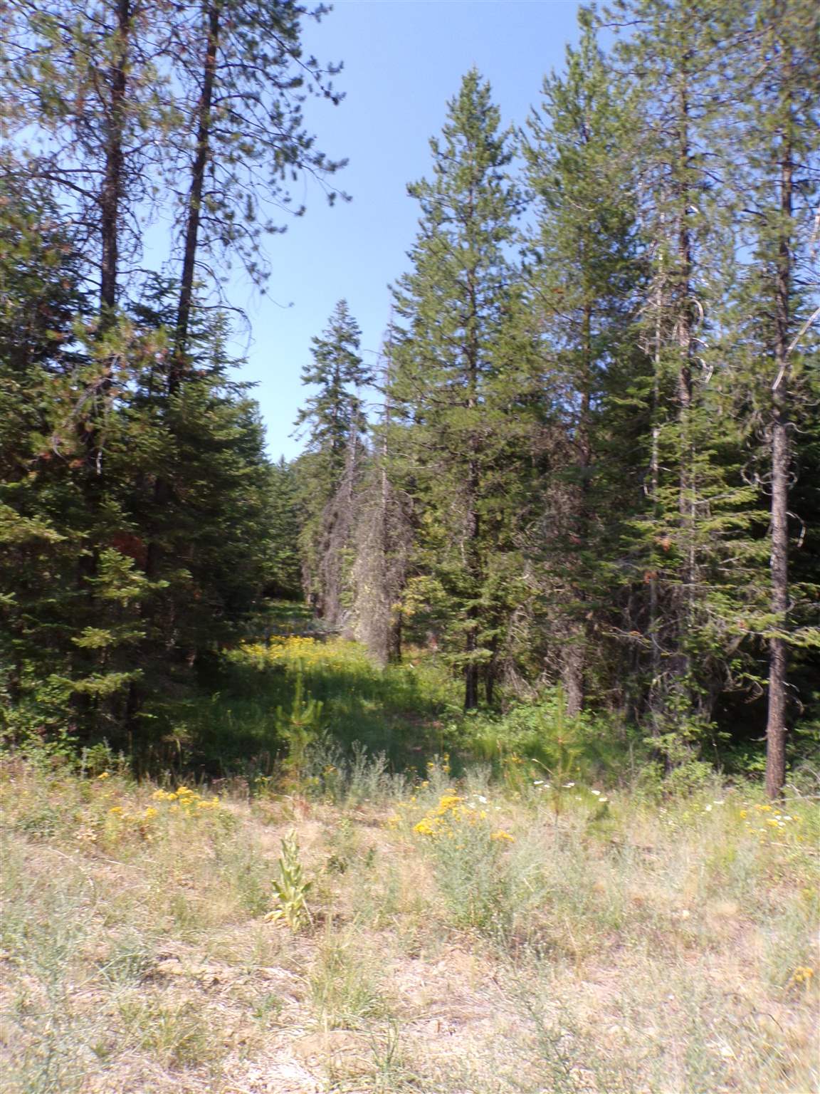 4 Bead Lake Road Newport, WA 99156 - Photo 16 of 33 Gallery Image 16