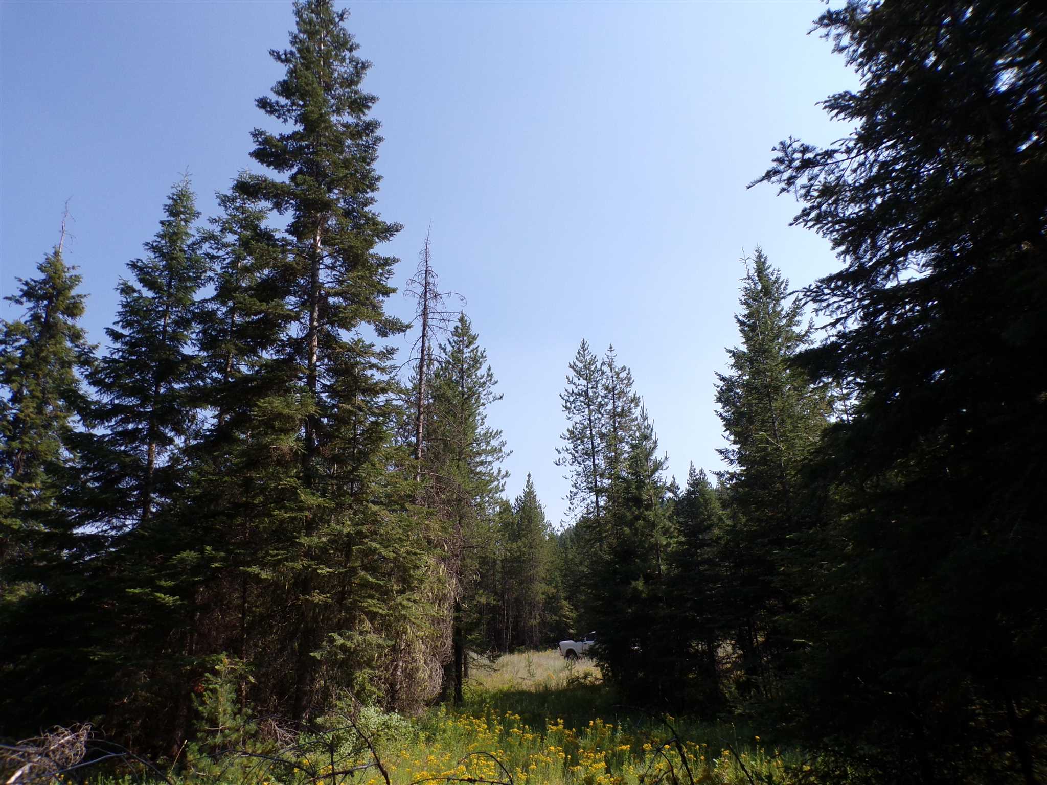 4 Bead Lake Road Newport, WA 99156 - Photo 17 of 33 Gallery Image 17