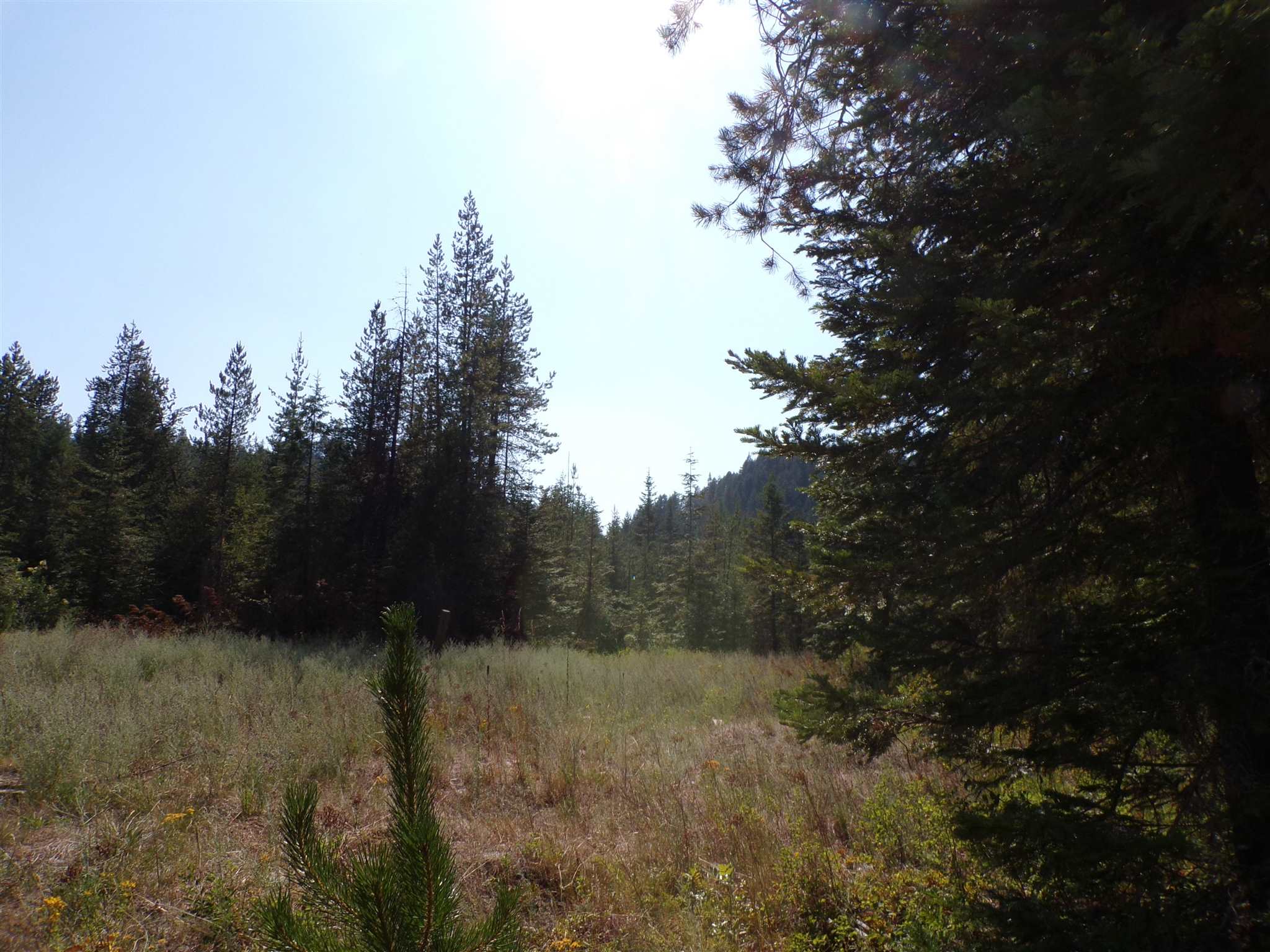 4 Bead Lake Road Newport, WA 99156 - Photo 19 of 33 Gallery Image 19