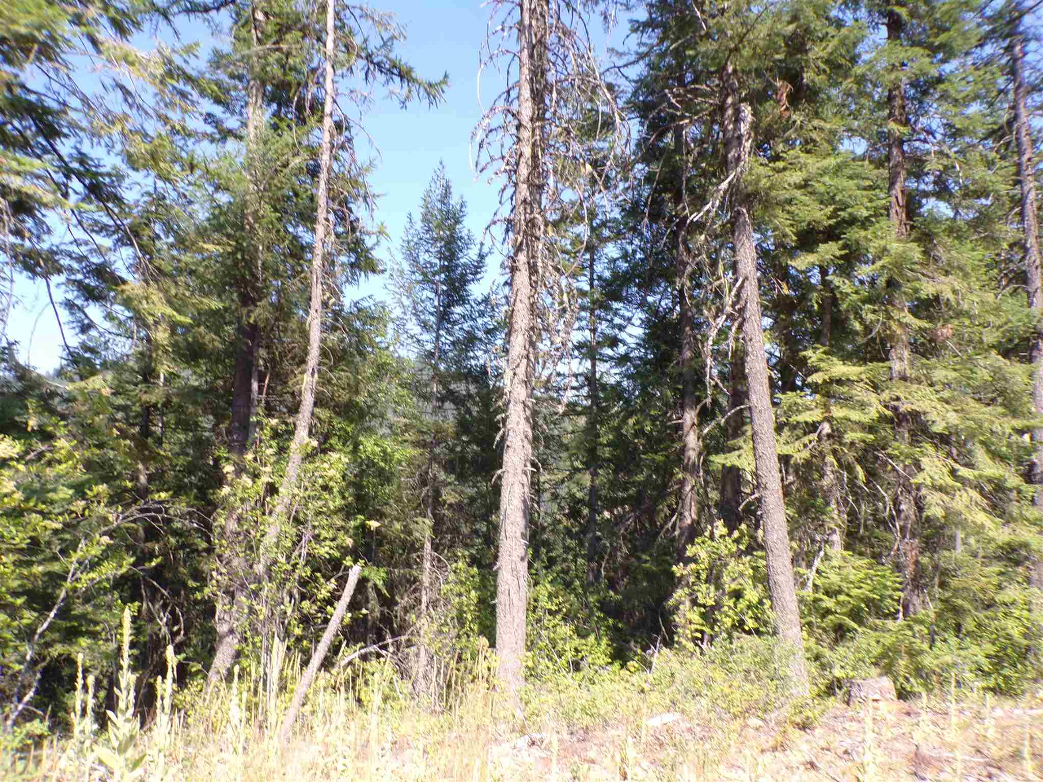 4 Bead Lake Road Newport, WA 99156 - Photo 20 of 33 Gallery Image 20