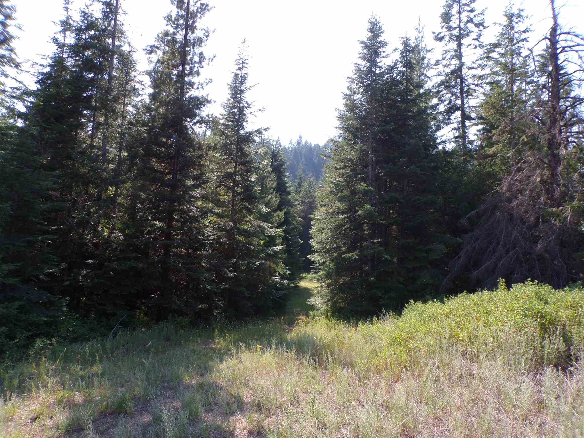 4 Bead Lake Road Newport, WA 99156 - Photo 21 of 33 Gallery Image 21