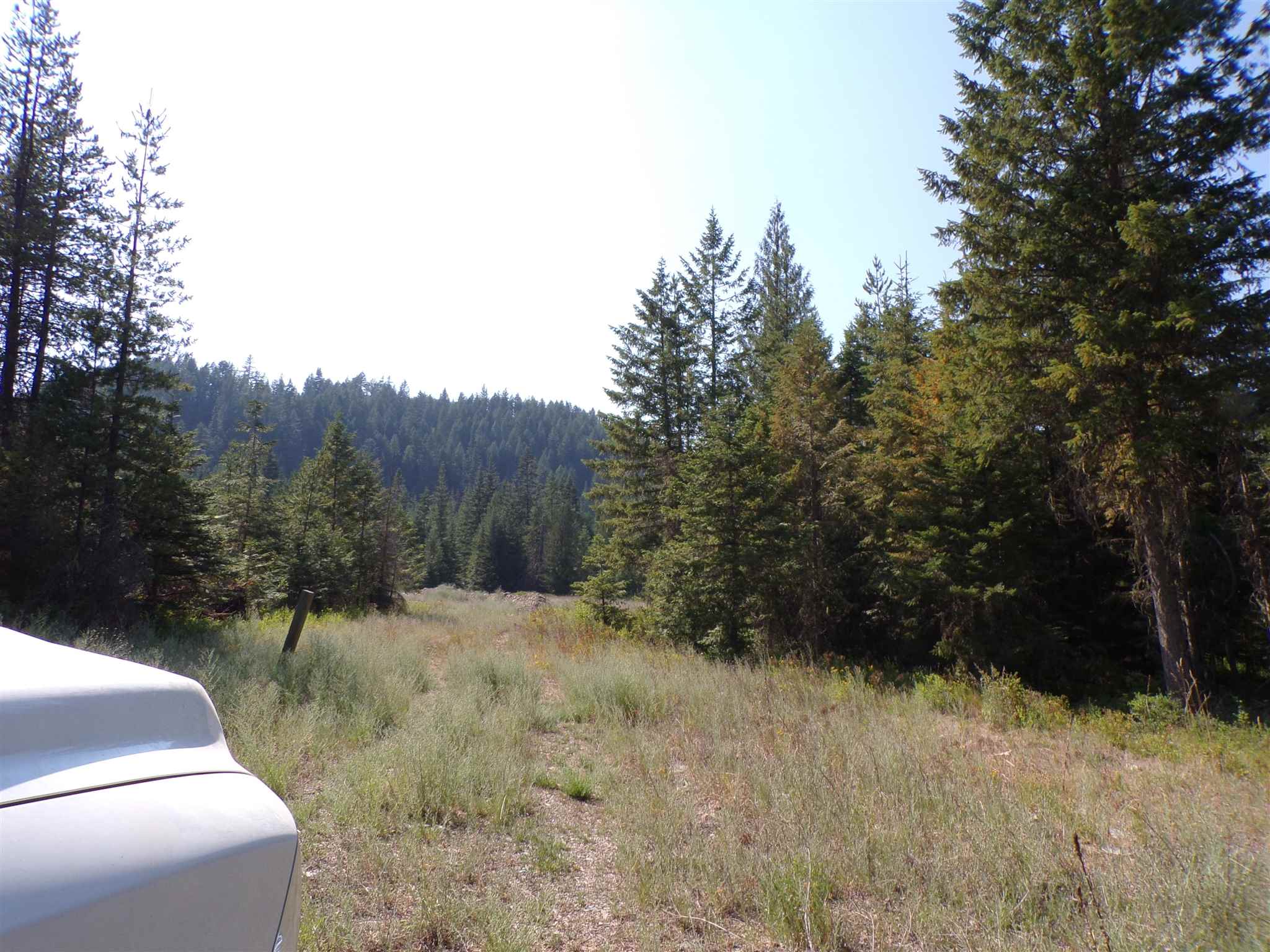 4 Bead Lake Road Newport, WA 99156 - Photo 22 of 33 Gallery Image 22