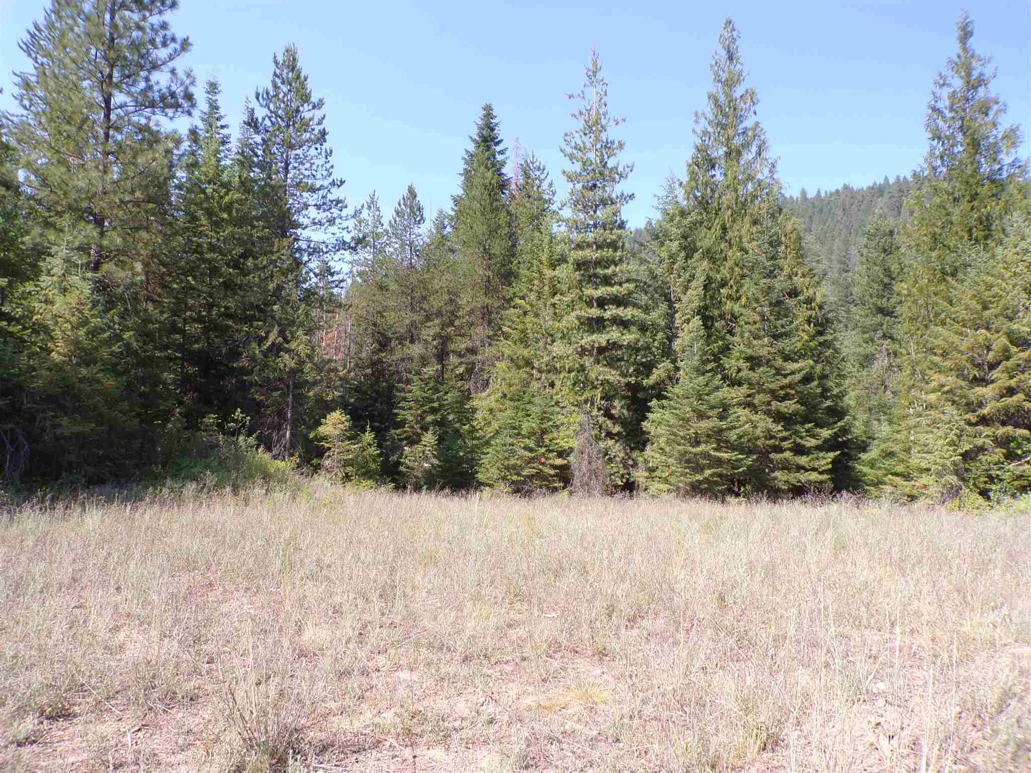 4 Bead Lake Road Newport, WA 99156 - Photo 24 of 33 Gallery Image 24