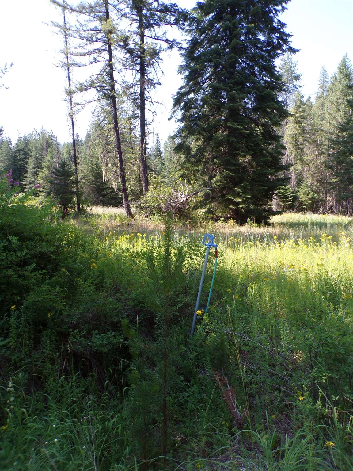 4 Bead Lake Road Newport, WA 99156 - Photo 25 of 33 Gallery Image 25