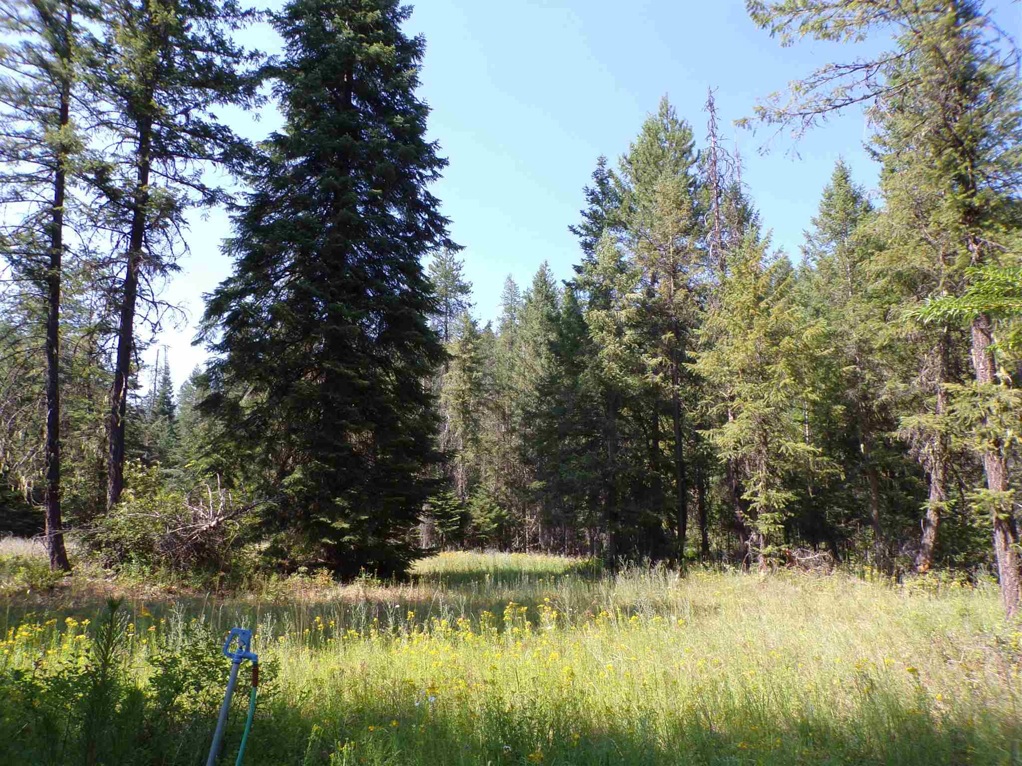 4 Bead Lake Road Newport, WA 99156 - Photo 26 of 33 Gallery Image 26