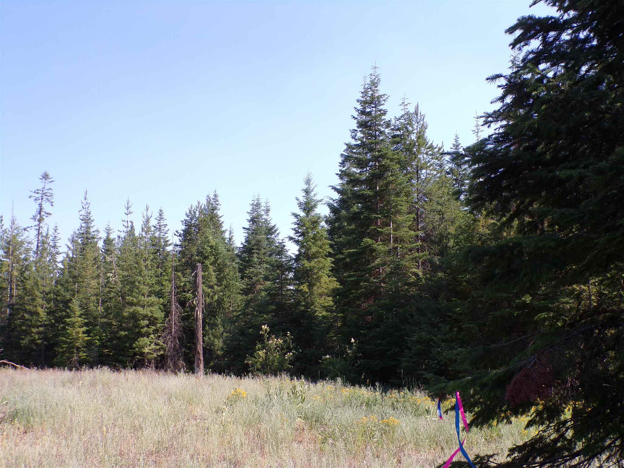 4 Bead Lake Road Newport, WA 99156 - Photo 27 of 33 Gallery Image 27