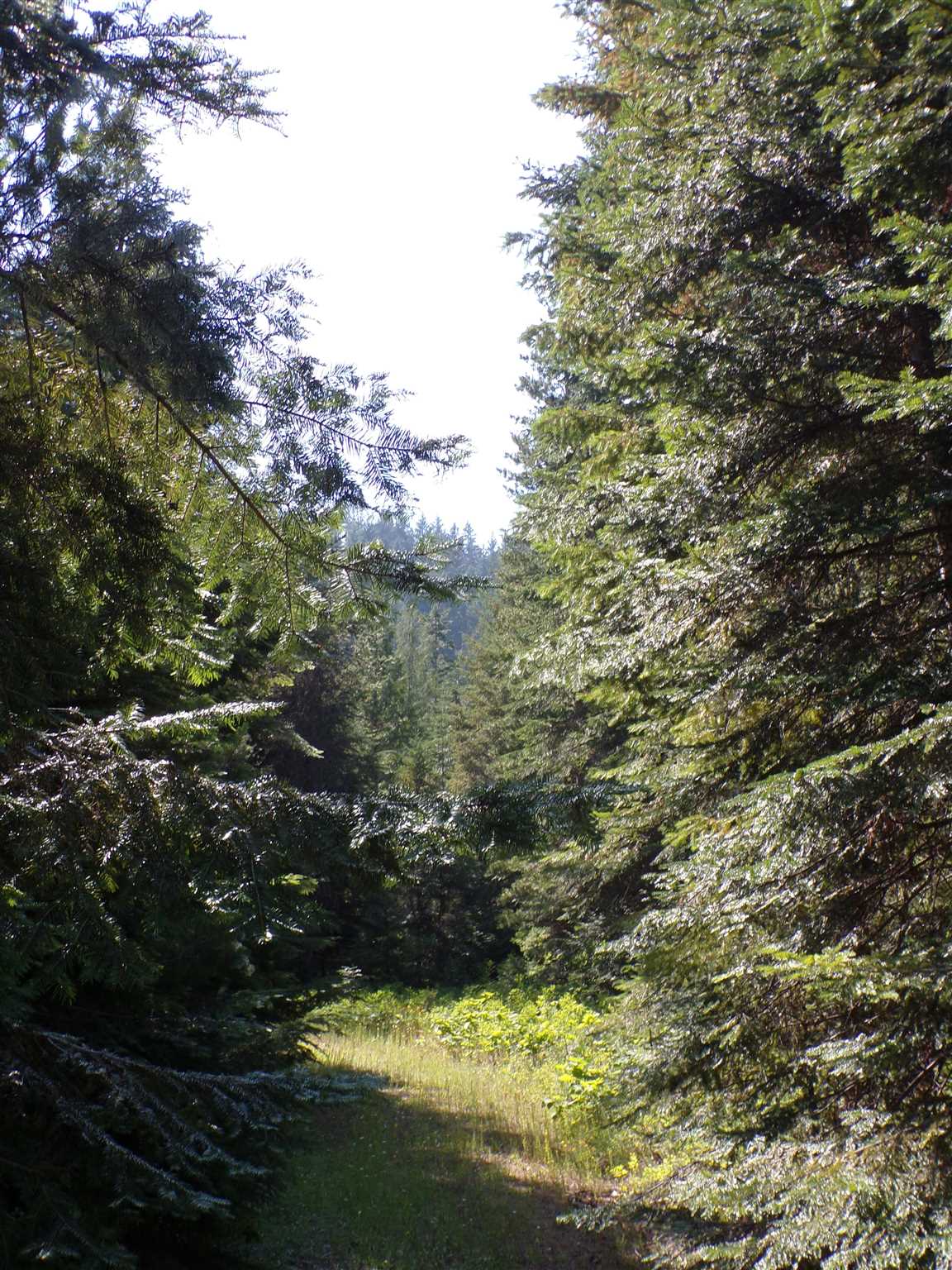 4 Bead Lake Road Newport, WA 99156 - Photo 28 of 33 Gallery Image 28