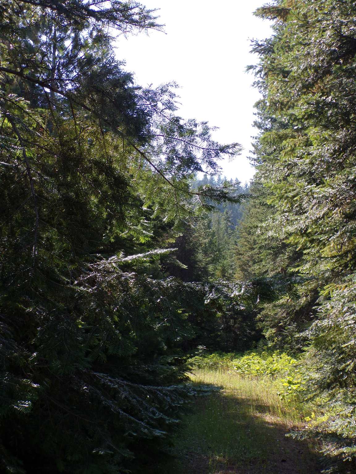 4 Bead Lake Road Newport, WA 99156 - Photo 29 of 33 Gallery Image 29
