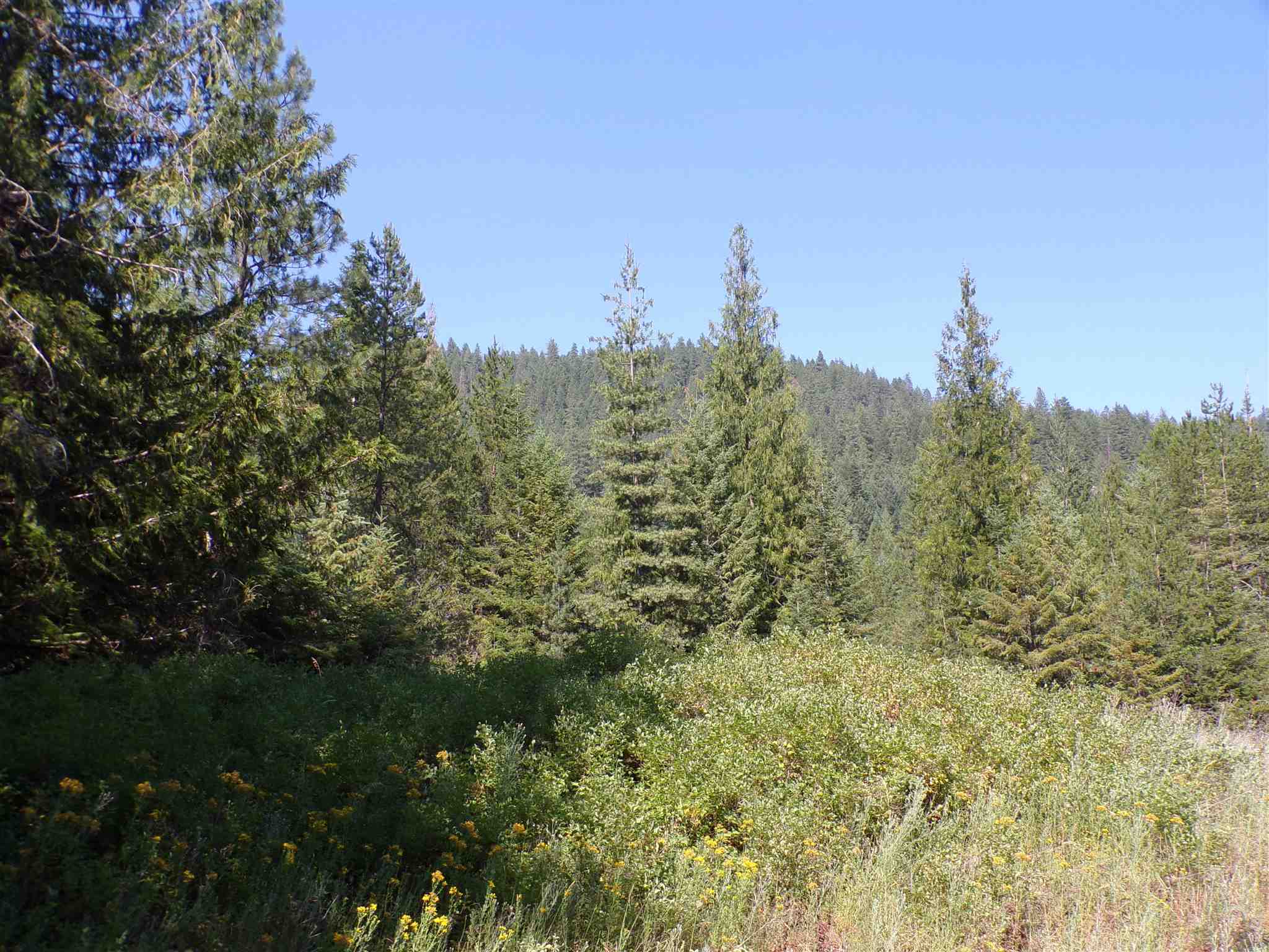 4 Bead Lake Road Newport, WA 99156 - Photo 30 of 33 Gallery Image 30