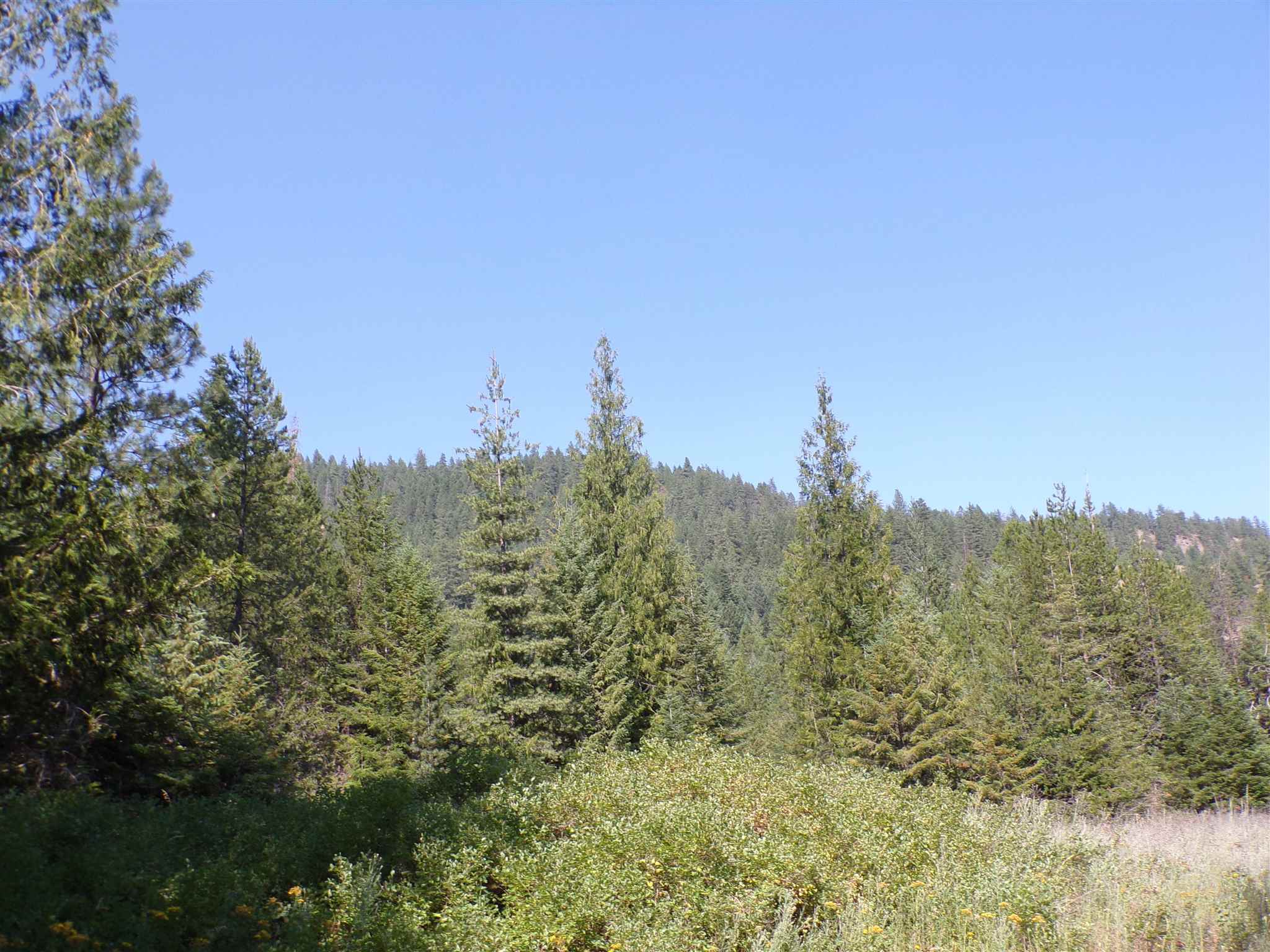 4 Bead Lake Road Newport, WA 99156 - Photo 31 of 33 Gallery Image 31