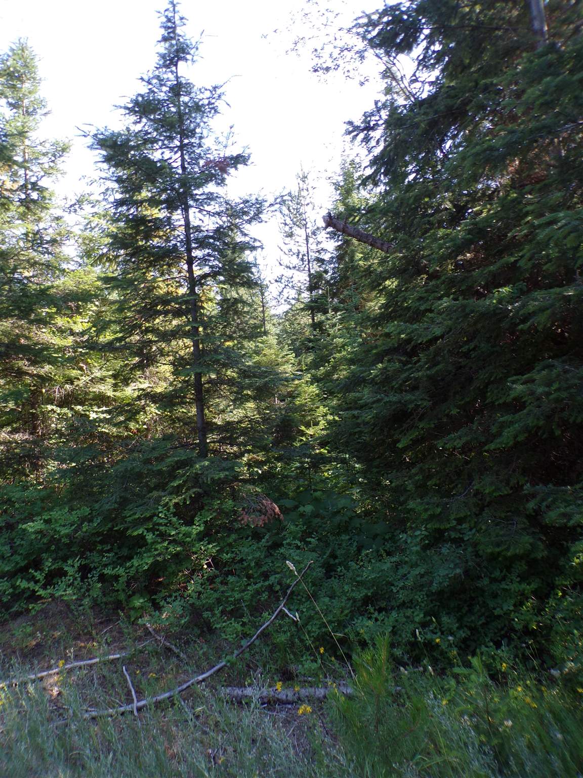 4 Bead Lake Road Newport, WA 99156 - Photo 32 of 33 Gallery Image 32
