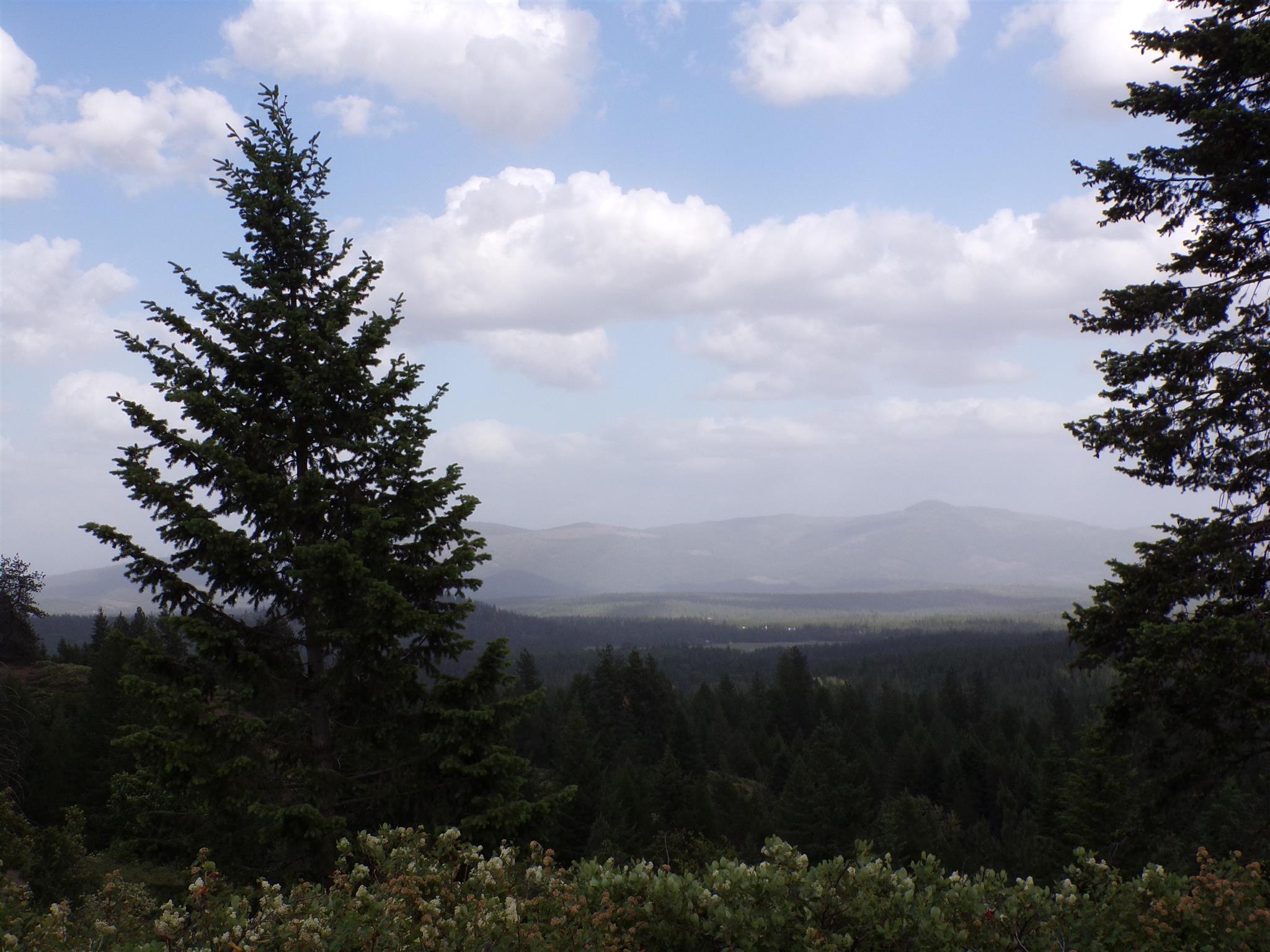 4 Bead Lake Road Newport, WA 99156 - Photo 5 of 33 Gallery Image 5