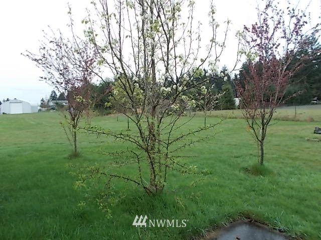 18612 Deerfield Lane Southwest Rochester, WA 98579 - Photo 10 of 13 Gallery Image 10