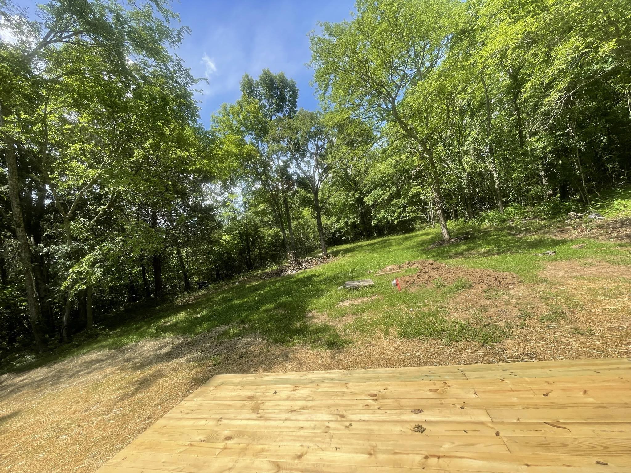 7716 Ruel Mcknight Road Milton, TN 37118 - Photo 12 of 12 Gallery Image 12