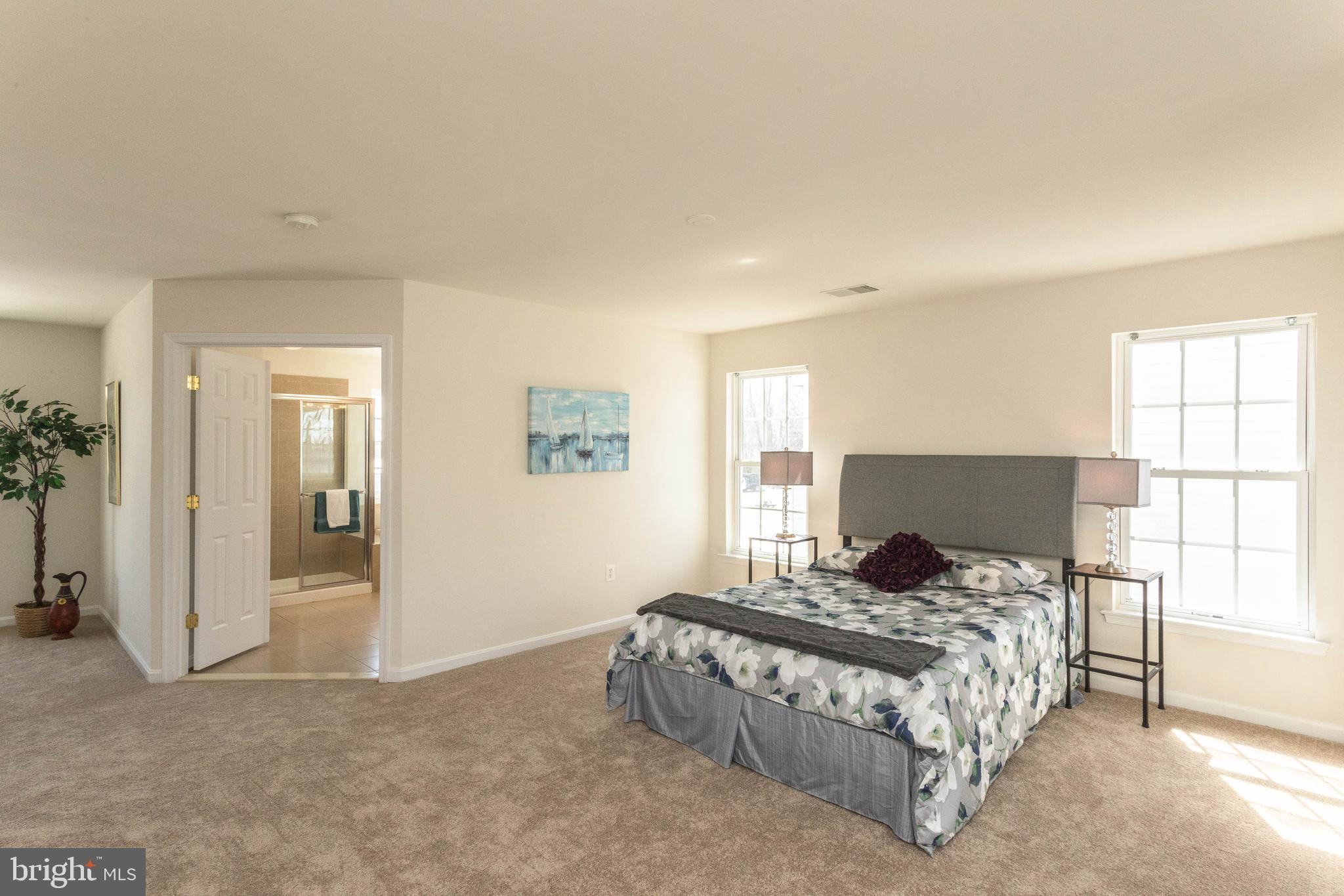 451 Blossom Tree Road Culpeper, VA 22701 - Photo 29 of 37 Gallery Image 29