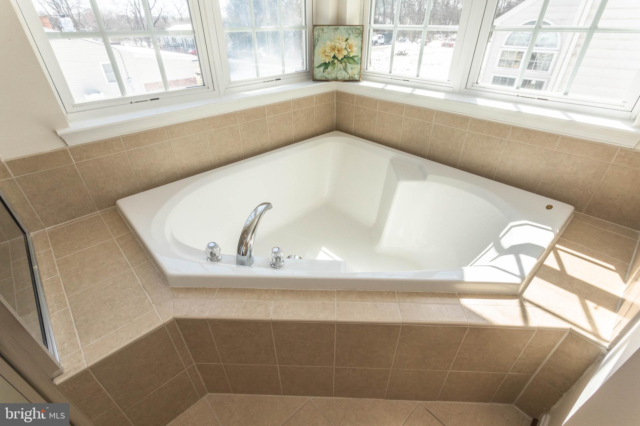 451 Blossom Tree Road Culpeper, VA 22701 - Photo 33 of 37 Gallery Image 33