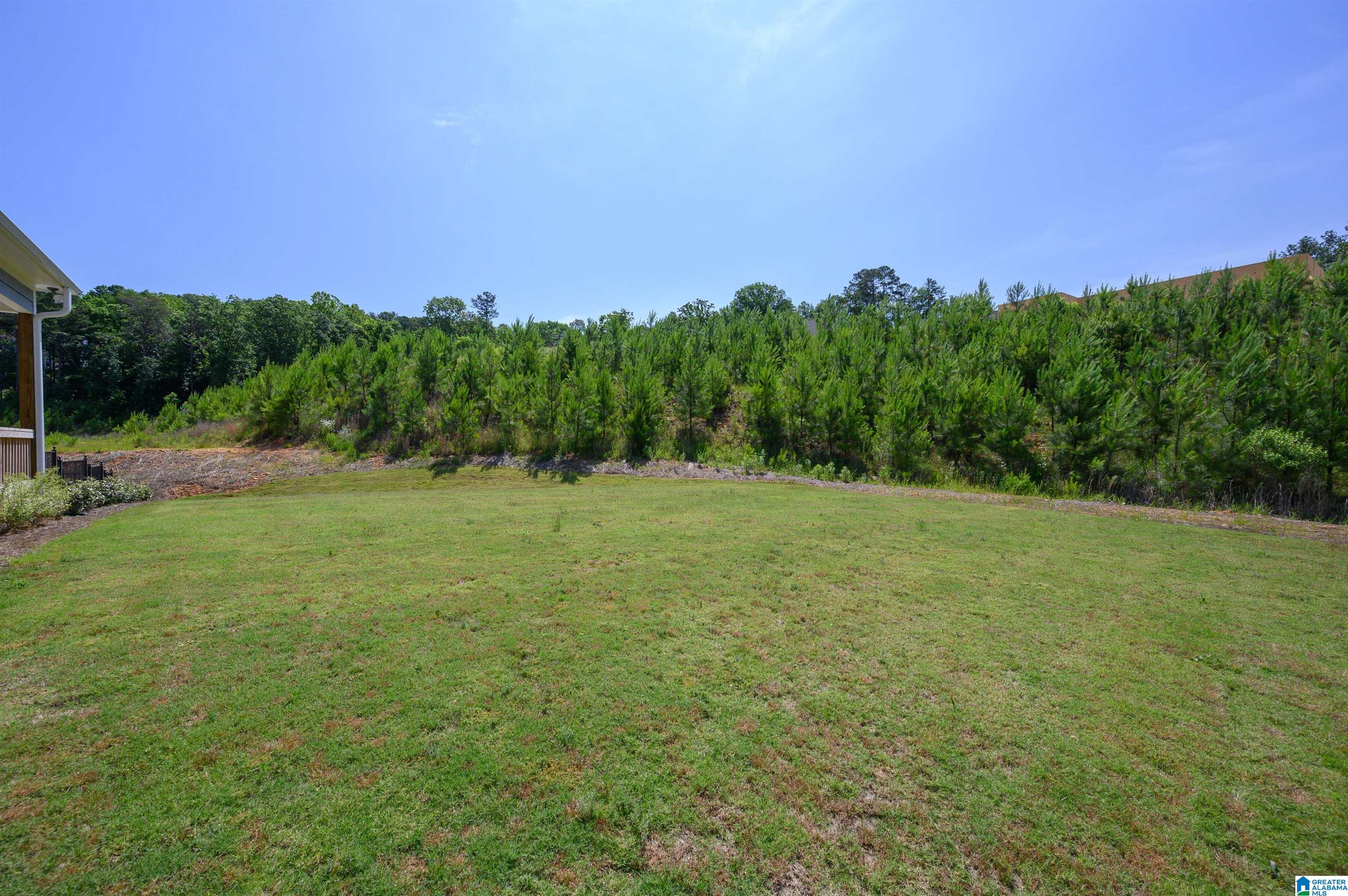 533 Ramsgate Drive Alabaster, AL 35114 - Photo 44 of 50