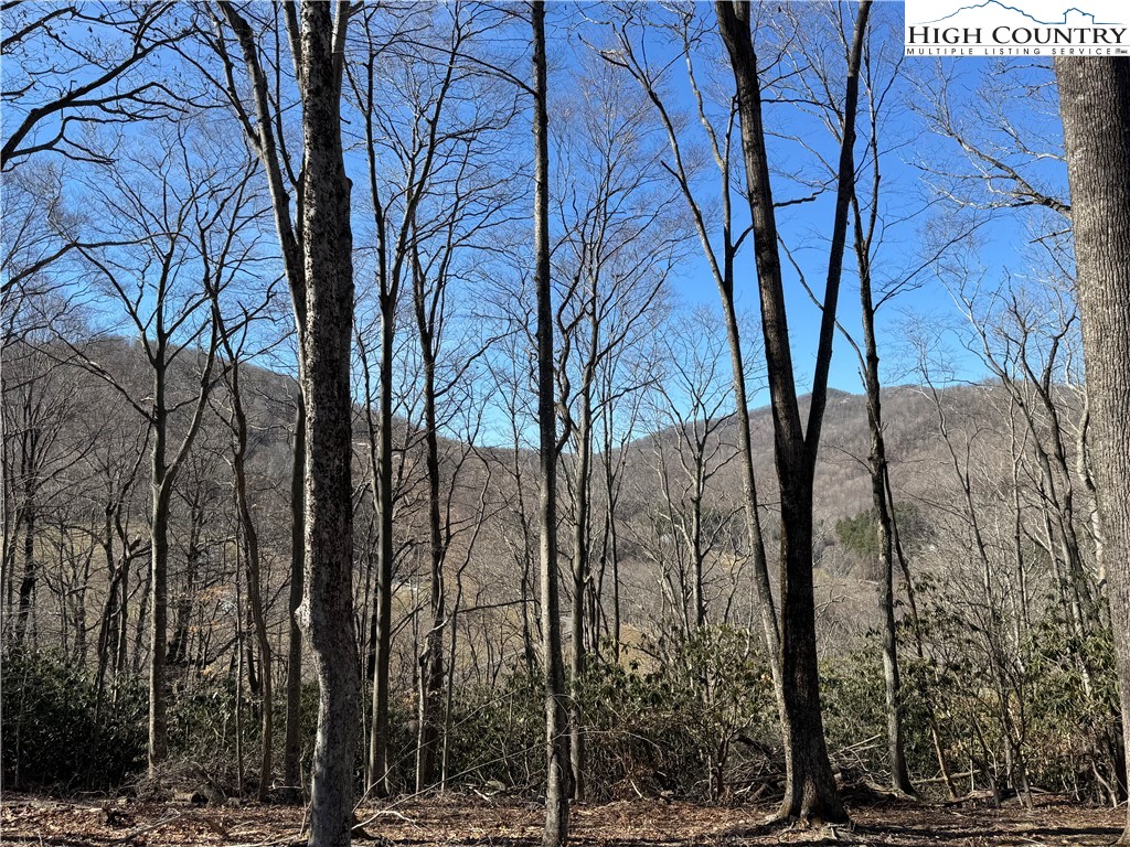 43 Glen Forest Drive Boone, NC 28607 - Photo 11 of 16 a view of a yard with trees