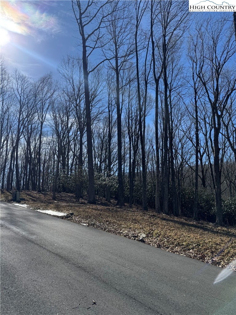 43 Glen Forest Drive Boone, NC 28607 - Photo 13 of 16 a backyard of a house with large trees