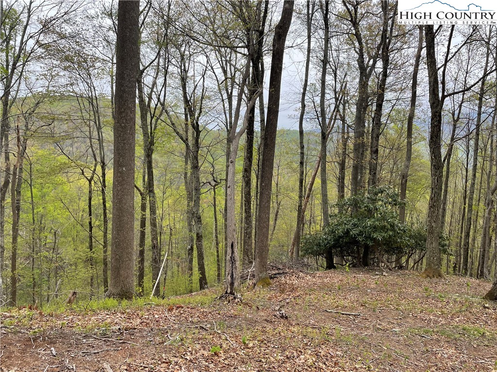 43 Glen Forest Drive Boone, NC 28607 - Photo 14 of 16 a view of a backyard