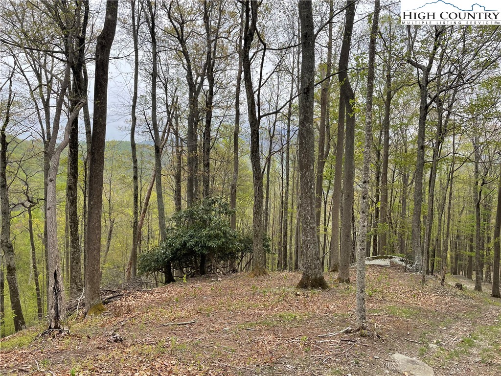 43 Glen Forest Drive Boone, NC 28607 - Photo 15 of 16 a backyard of a house with lots of green space