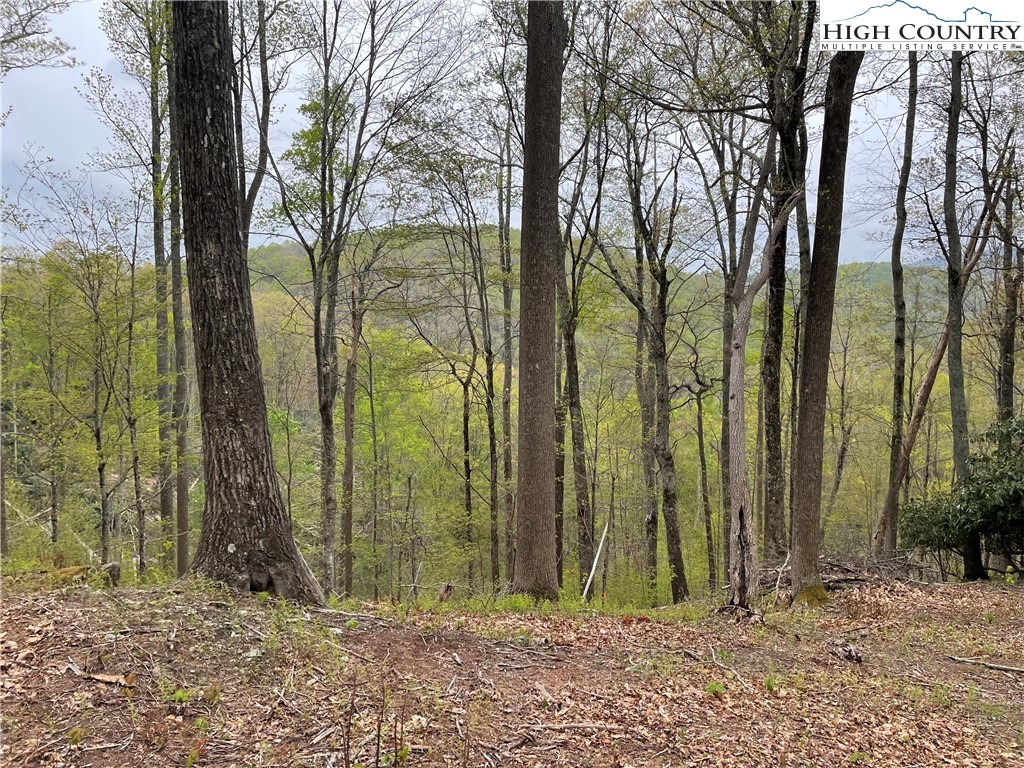43 Glen Forest Drive Boone, NC 28607 - Photo 16 of 16 a backyard of a house with lots of trees