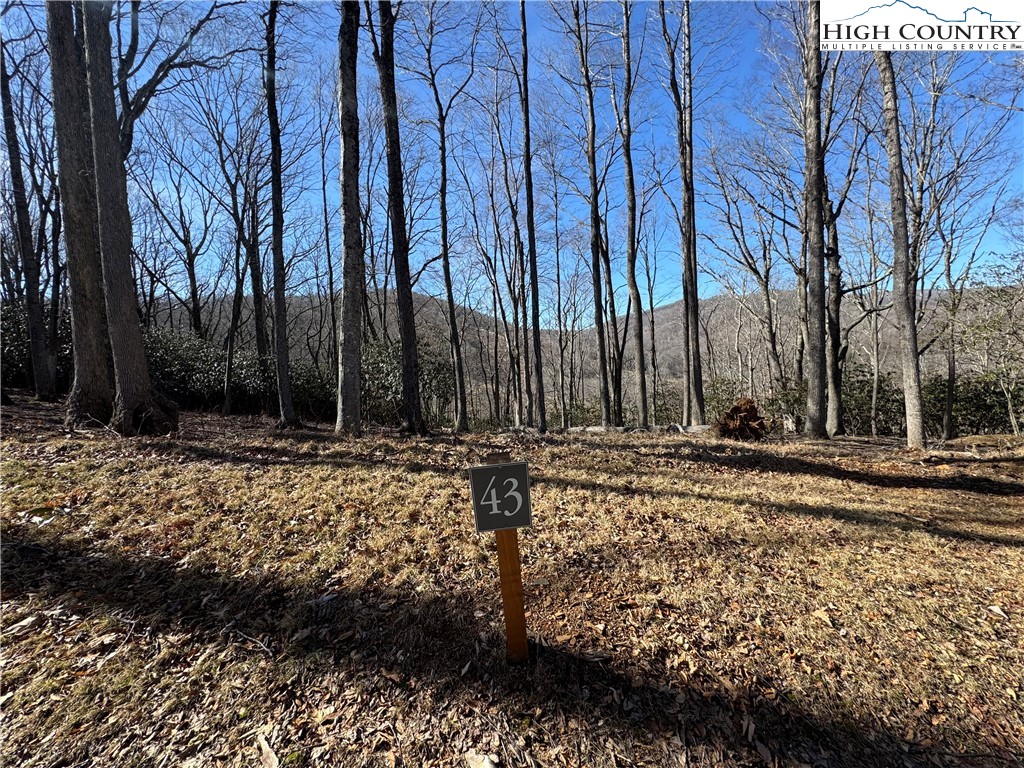 43 Glen Forest Drive Boone, NC 28607 - Photo 2 of 16 a view of a yard with trees