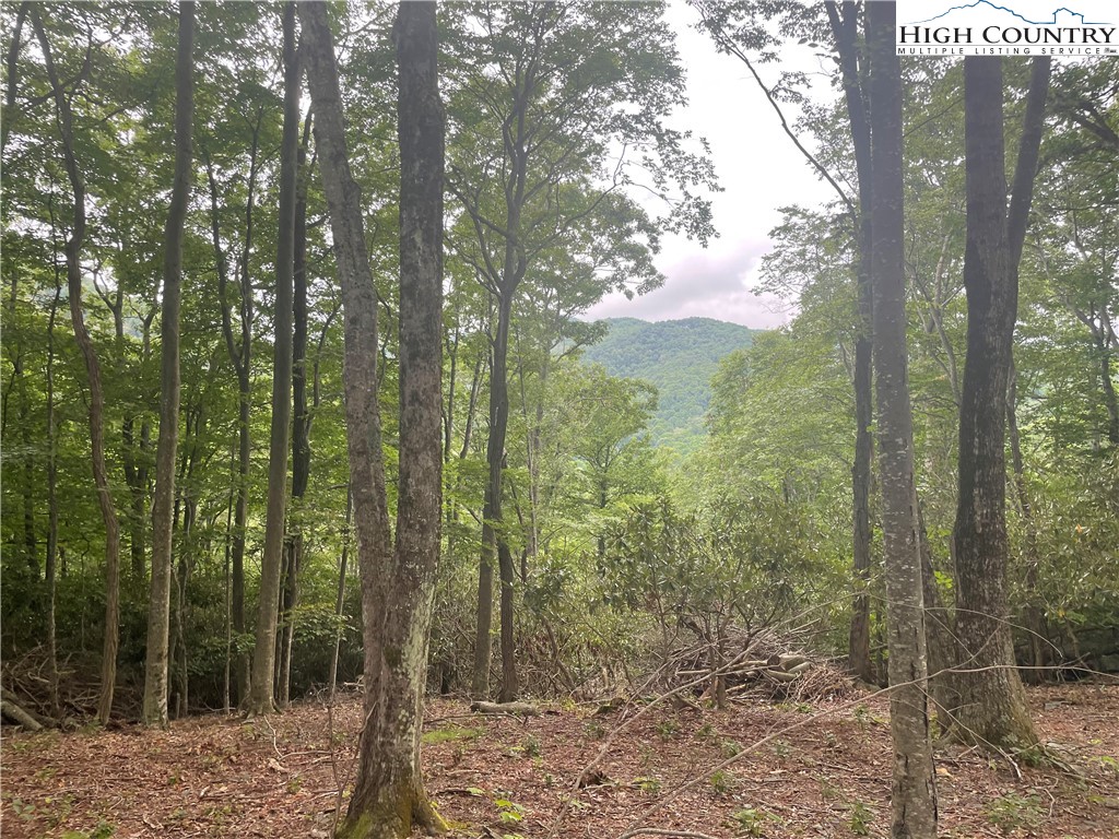 43 Glen Forest Drive Boone, NC 28607 - Photo 4 of 16 a view of a forest from a balcony