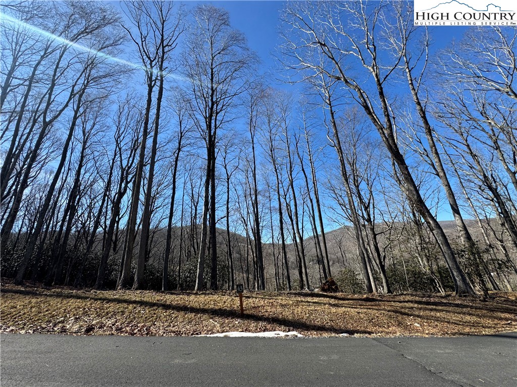 43 Glen Forest Drive Boone, NC 28607 - Photo 6 of 16 a backyard of a house with lots of green space