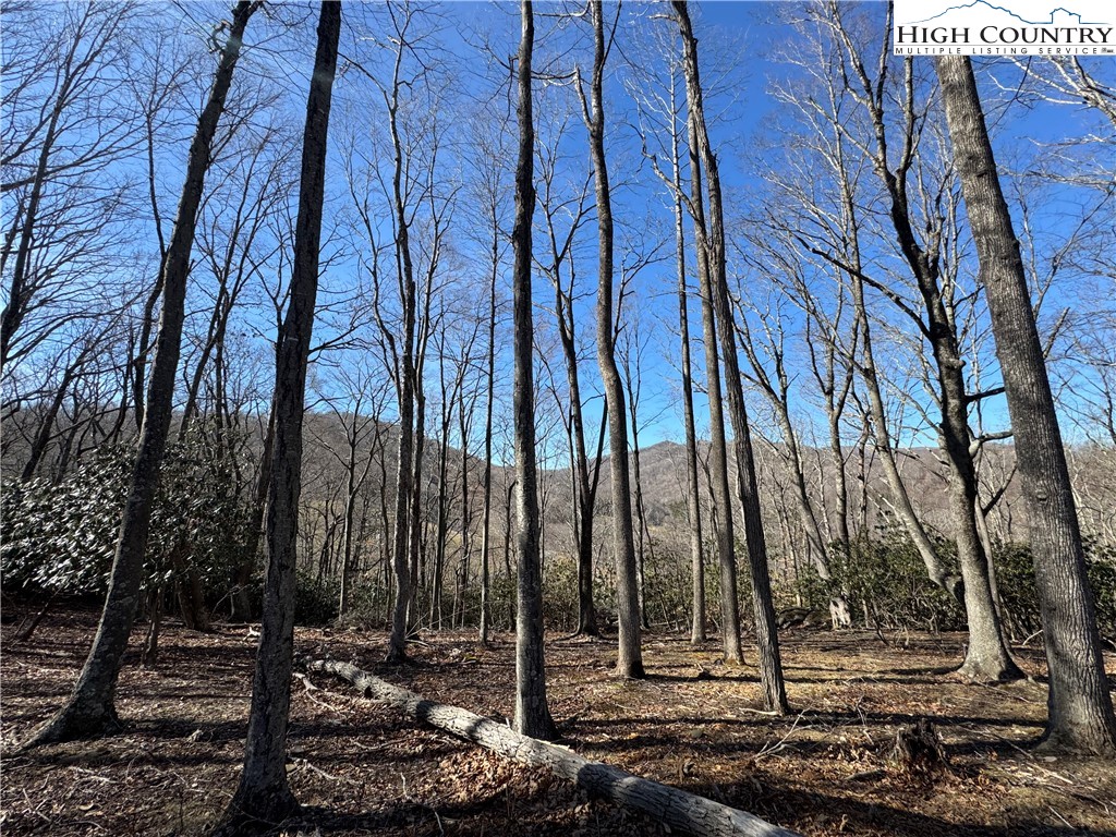 43 Glen Forest Drive Boone, NC 28607 - Photo 7 of 16 a view of a covered with trees