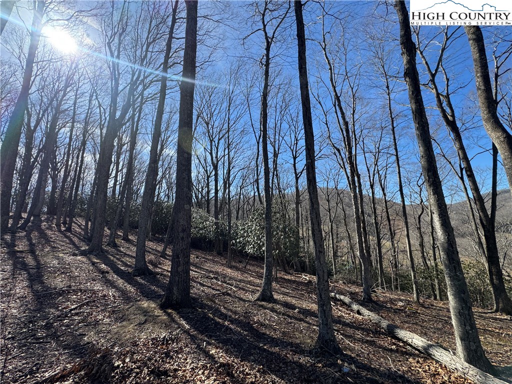 43 Glen Forest Drive Boone, NC 28607 - Photo 8 of 16