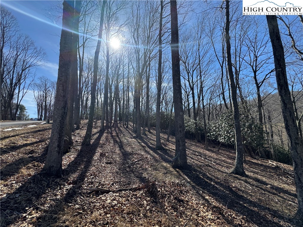 43 Glen Forest Drive Boone, NC 28607 - Photo 9 of 16 a view of a backyard
