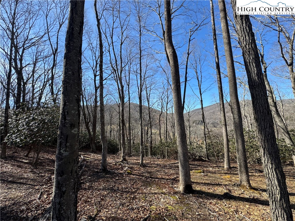 43 Glen Forest Drive Boone, NC 28607 - Photo 10 of 16 a view of a backyard