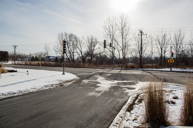 a view of a yard with trees