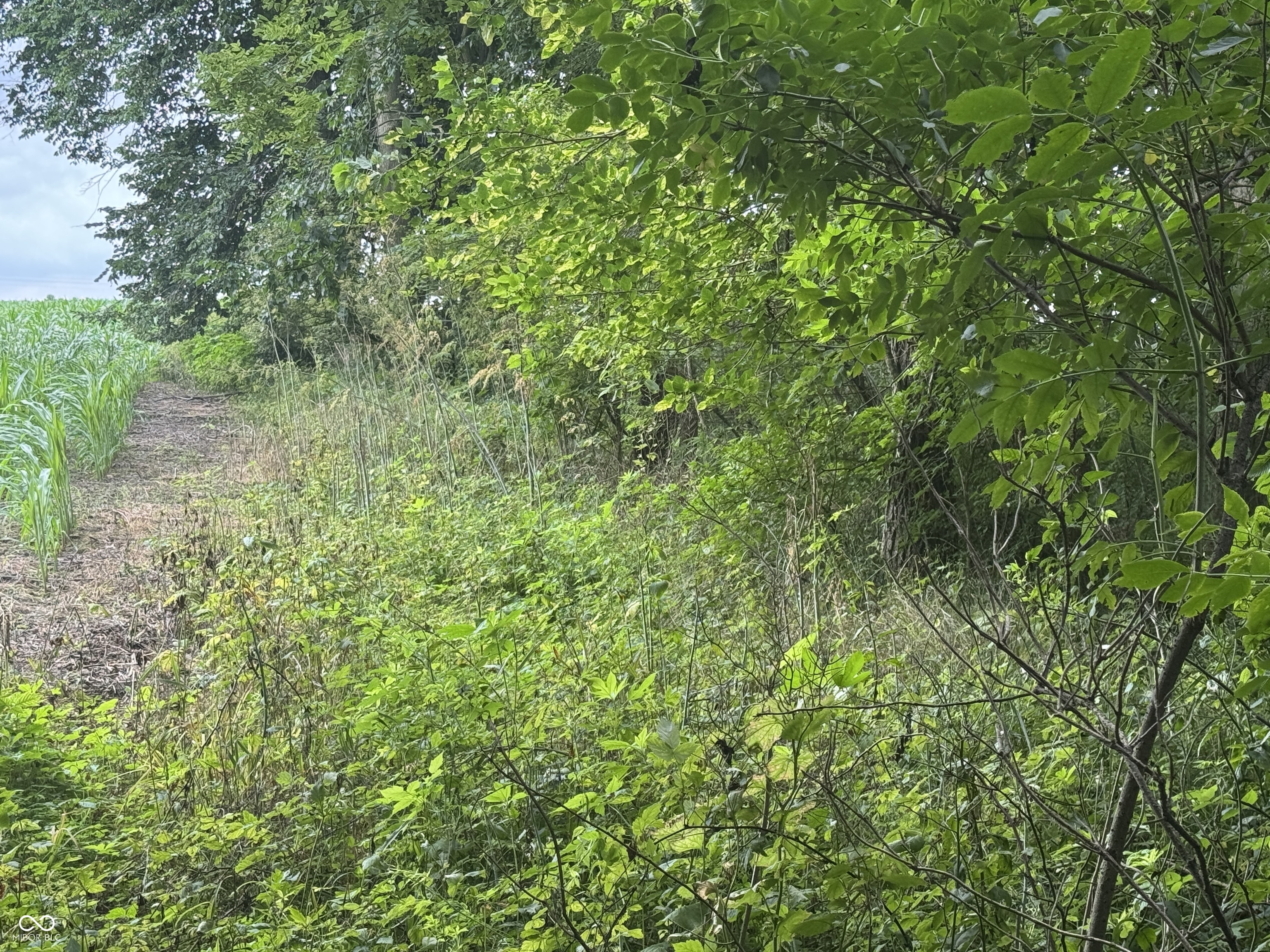 0 Hopewell Road Fountain City, IN 47341 - Photo 11 of 20