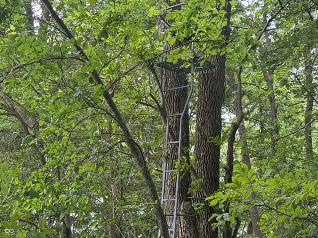 $60,000 | 0 Hopewell Road, Fountain City, IN 47341