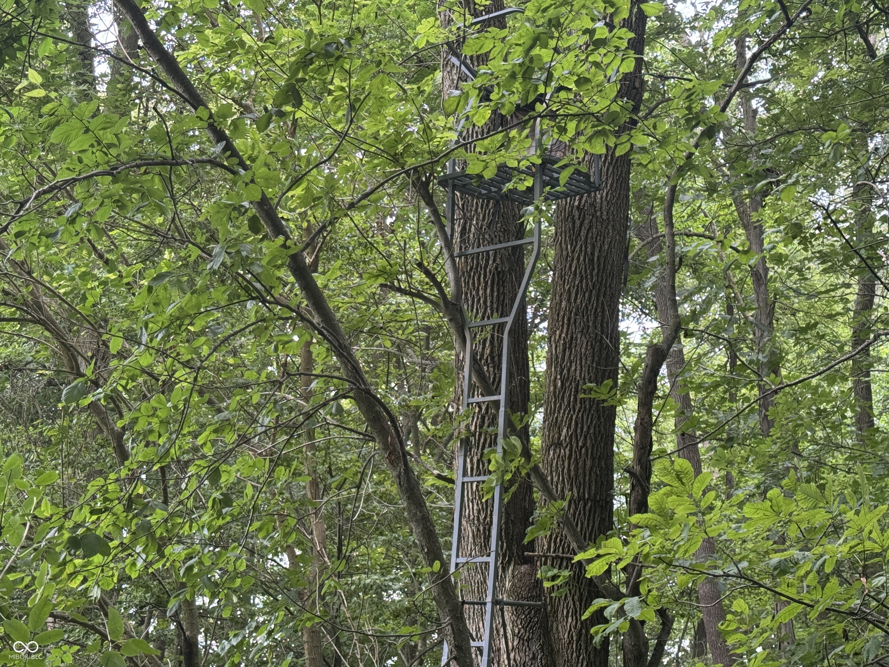 0 Hopewell Road Fountain City, IN 47341 - Photo 12 of 20