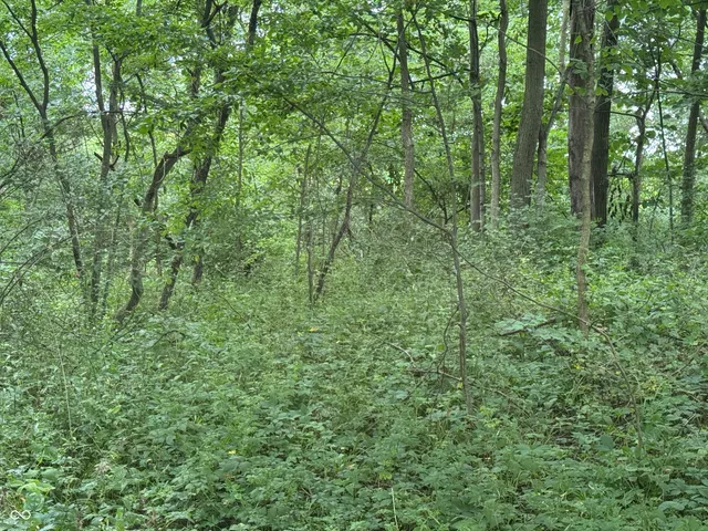 $60,000 | 0 Hopewell Road, Fountain City, IN 47341