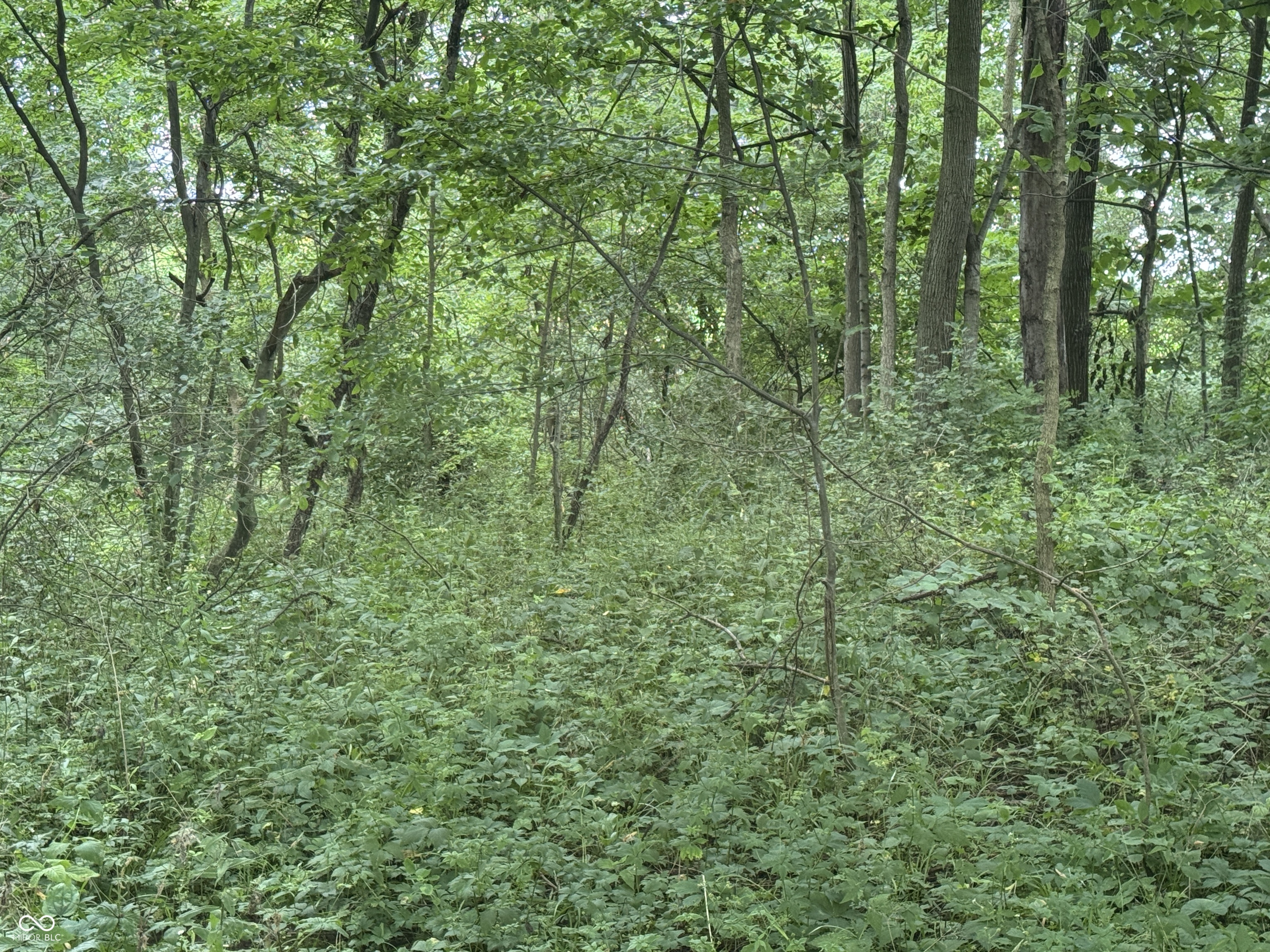 0 Hopewell Road Fountain City, IN 47341 - Photo 13 of 20